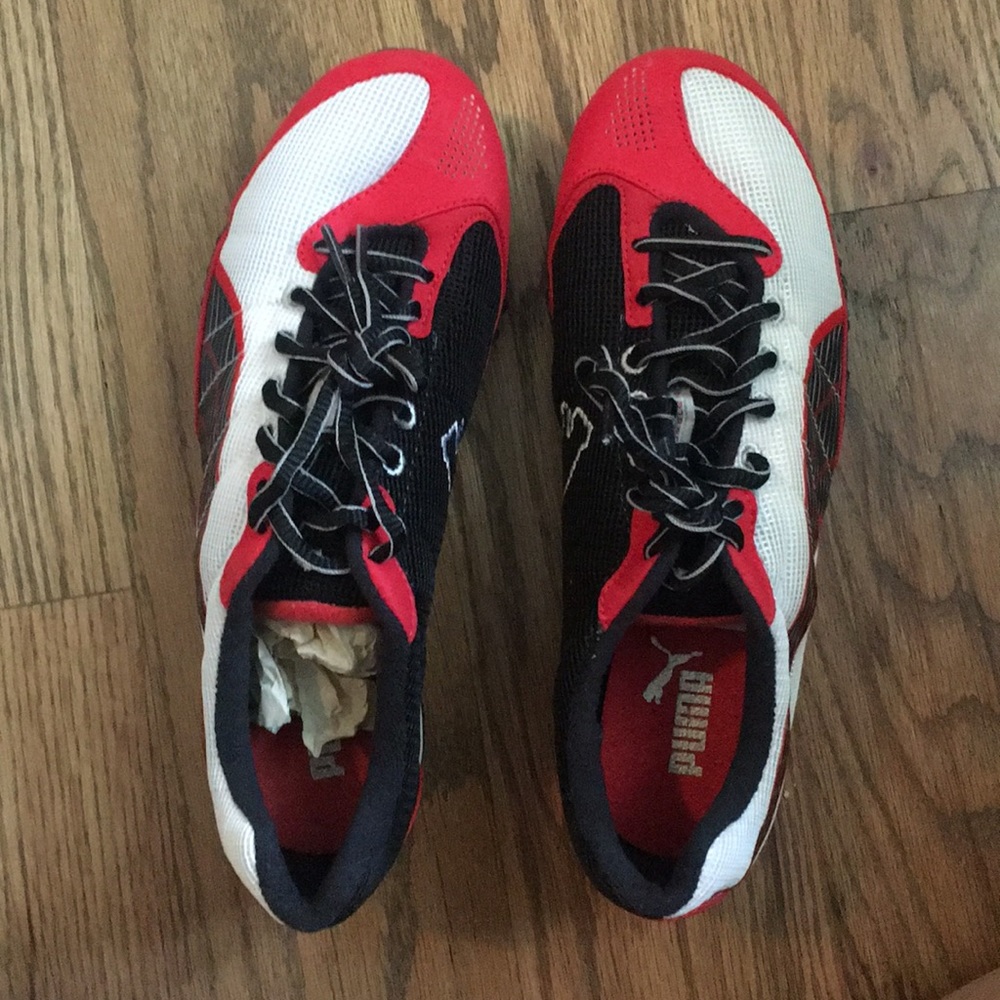 Puma spikes